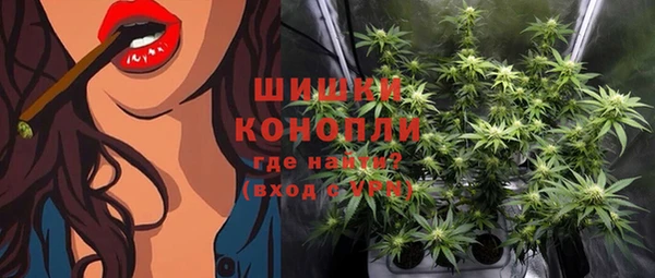 дживик Новодвинск