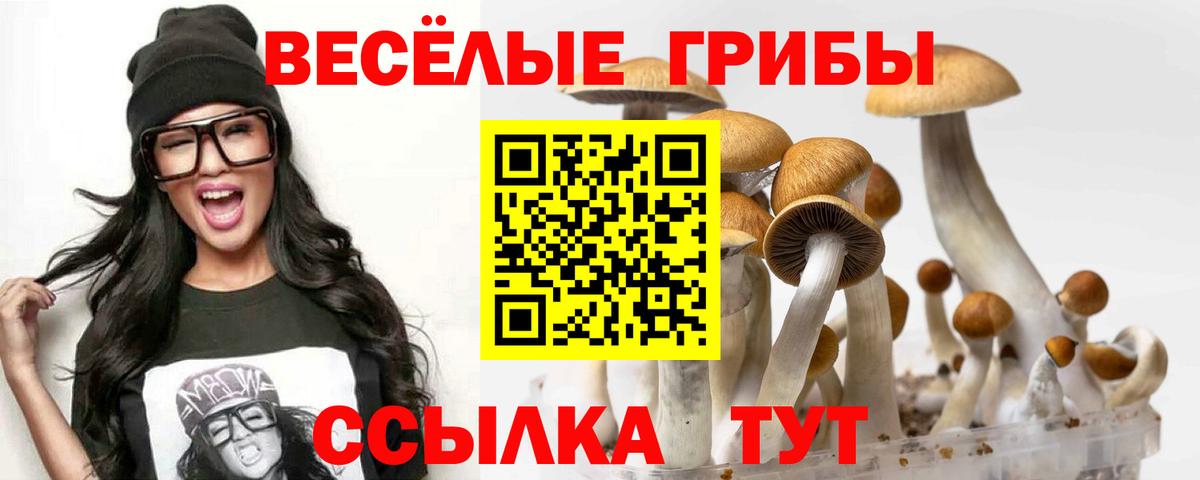 Псилоцибиновые грибы мицелий Владивосток