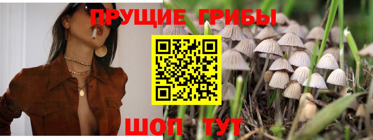 Псилоцибиновые грибы мицелий  Вход с VPN  Галлюциногенные грибы ЛСД  Владивосток 